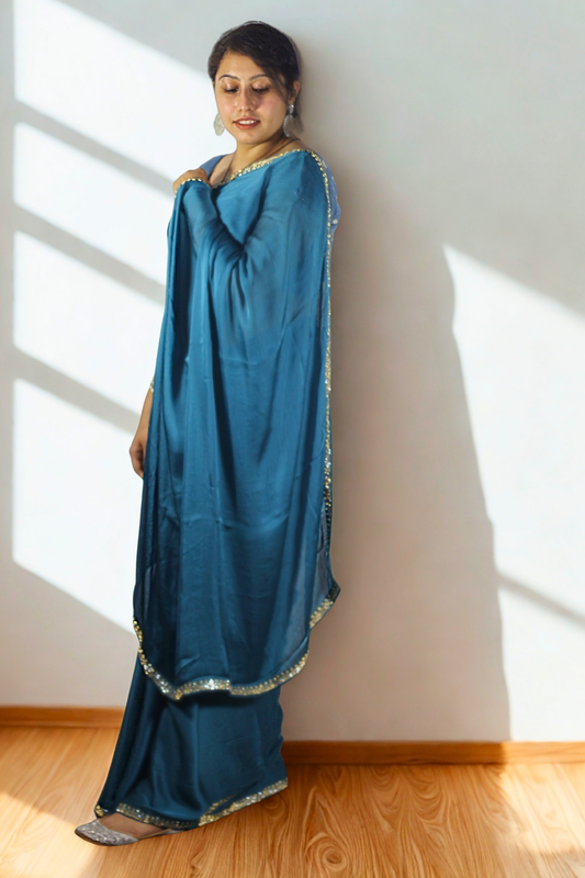 Chiffon Sequin Border Saree