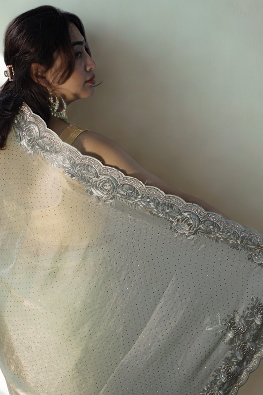 Green Rhinestone Tissue Saree